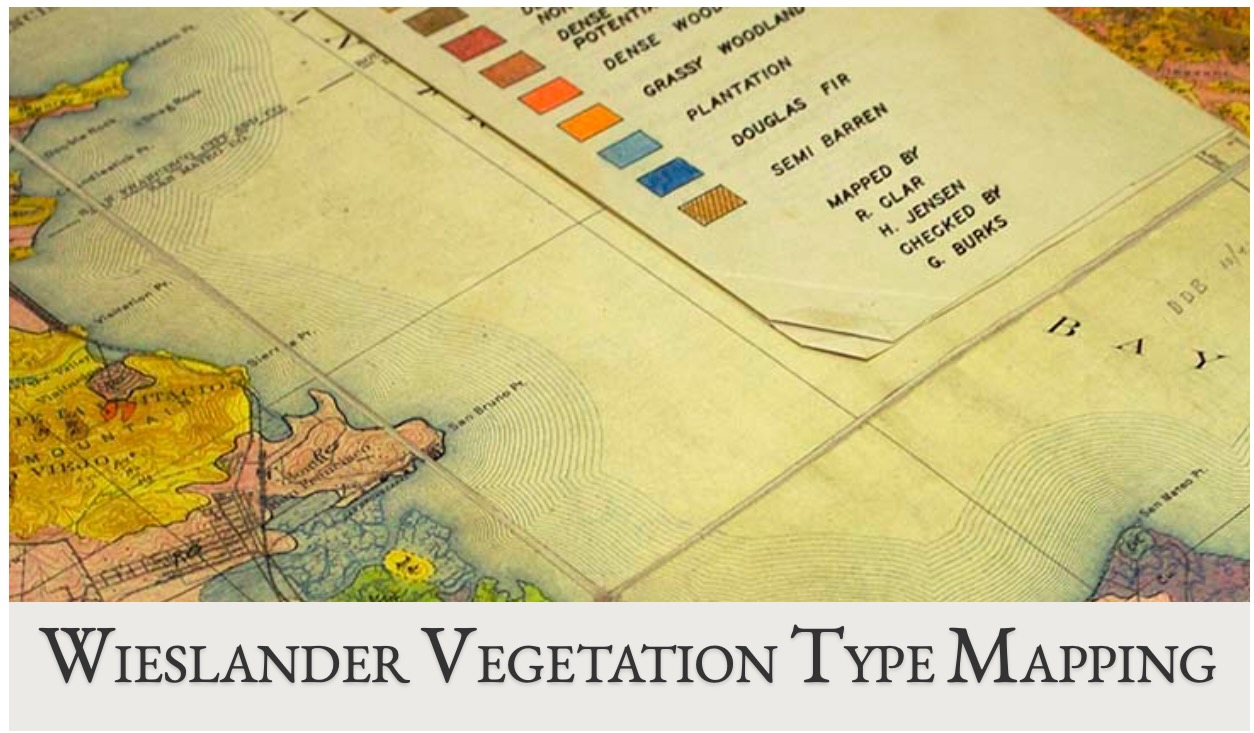 Vegetation Type Mapping (VTM)